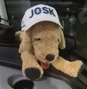 Josk&hellip; Altijd met ons mee!